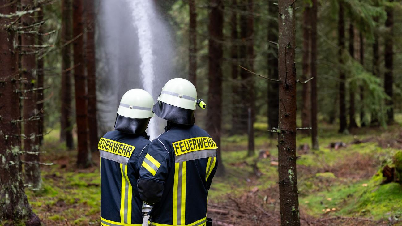 Keine Verletzten: Holzhütte und Wald brennen – Kinder melden sich selbst