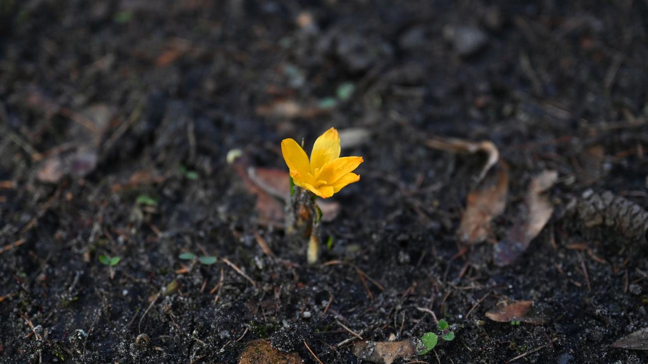 Wetter: Milde Tage und frostige Nächte in Berlin und Brandenburg