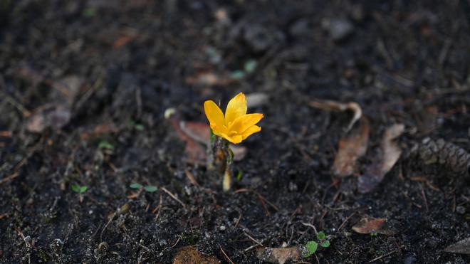 Wetter: In Berlin und Brandenburg werden die Tage sonnig und mild, die Nächte bleiben jedoch noch kalt.