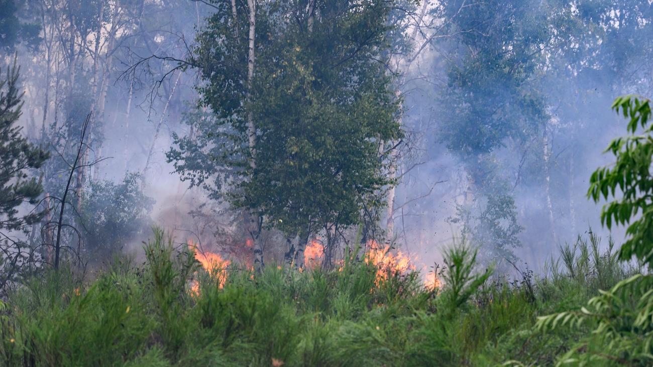 Natur & Umwelt: Sachsen startet tägliche Warnung vor Waldbrandgefahr