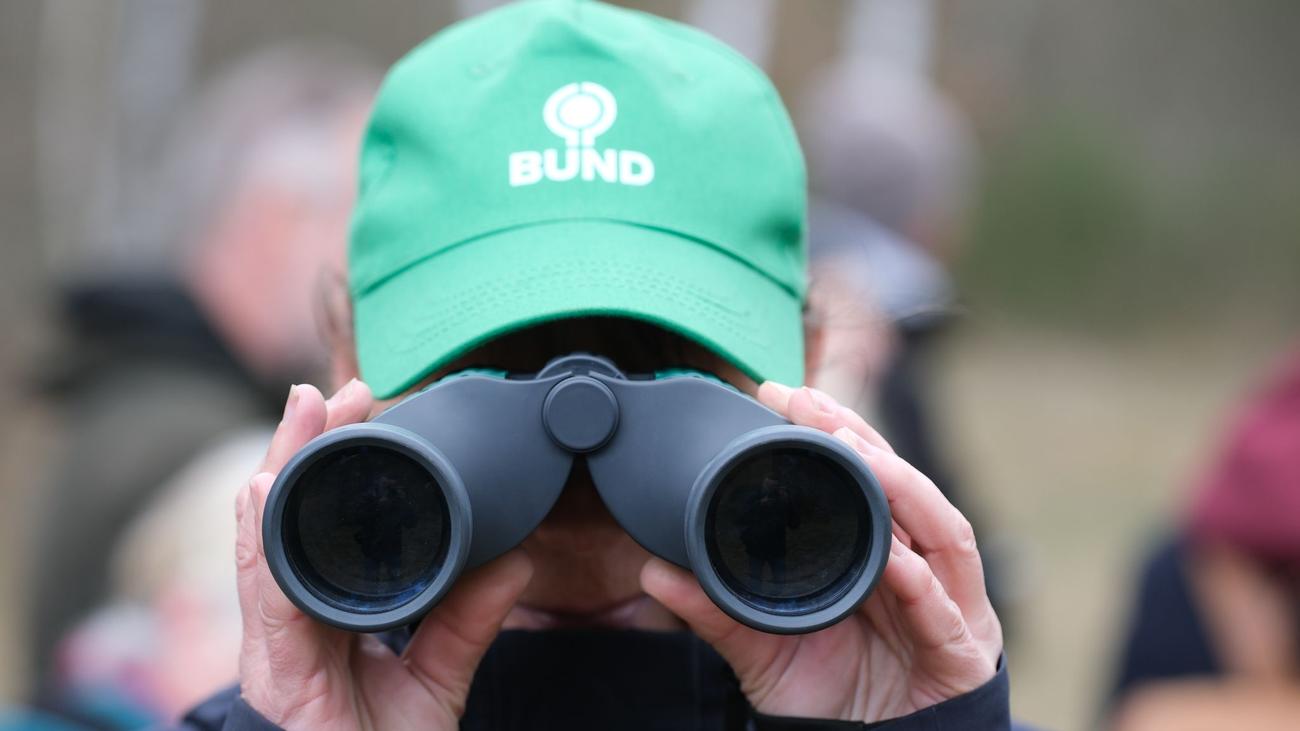 Umweltschutz: BUND Sachsen für weniger Bürokratie beim Schutz der Natur