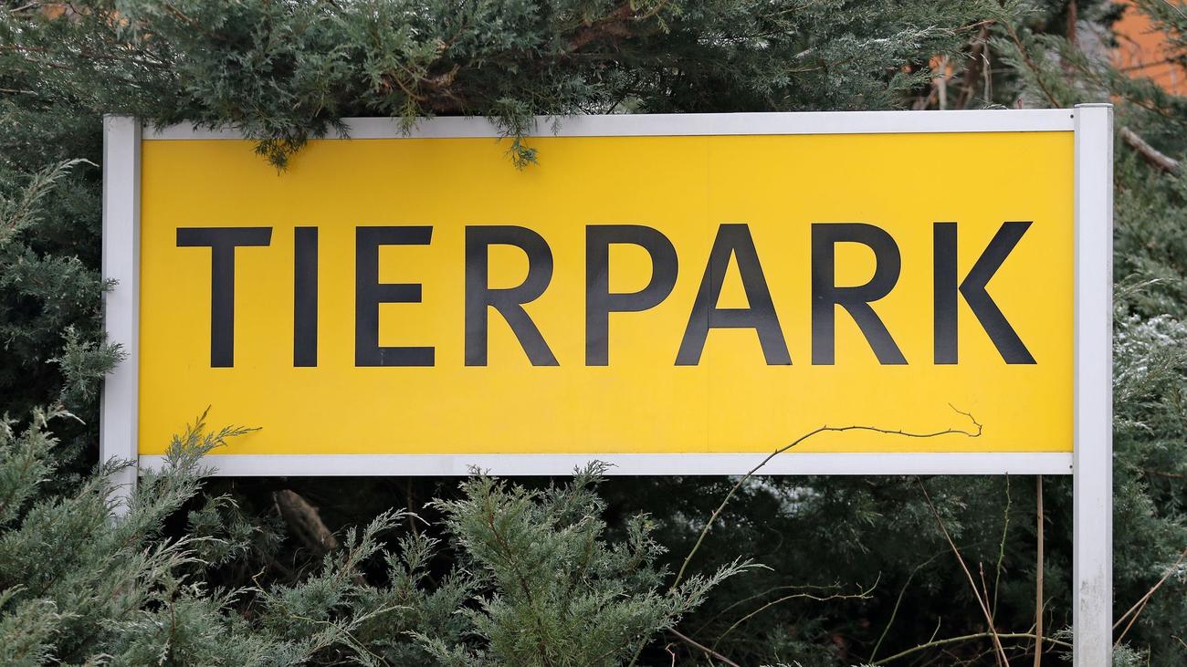 Tiere: Chemnitzer Tierpark lockert Schutzmaßnahmen
