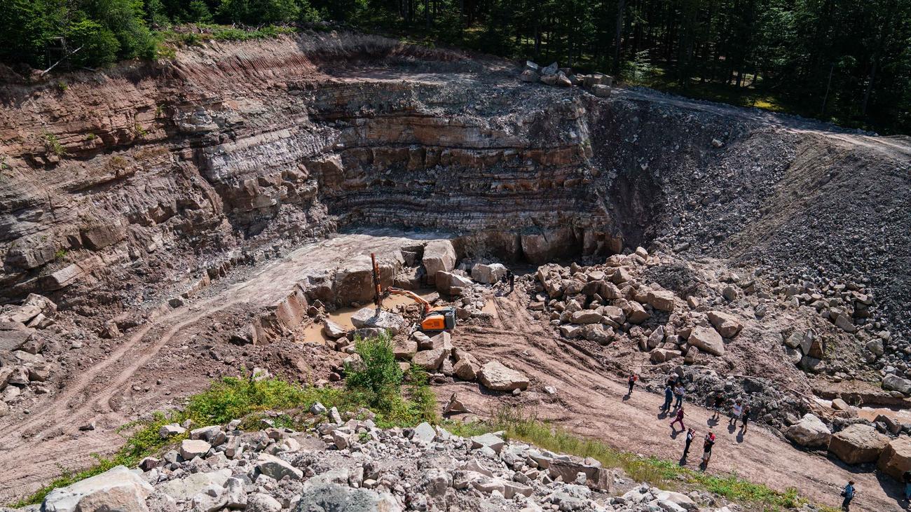 Fossilienfund: Ein Urzeit-Krimi: Woher kommt das Riesenlurch-Massengrab?