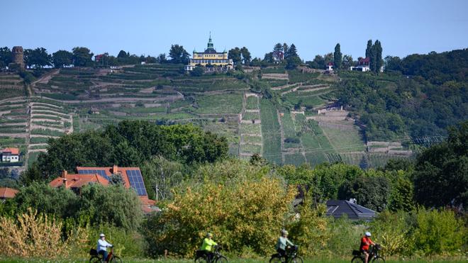 Radtourismus: Der Elberadweg ist laut einer Online-Umfrage Deutschlands beliebtester Radfernweg. (Archivbild)