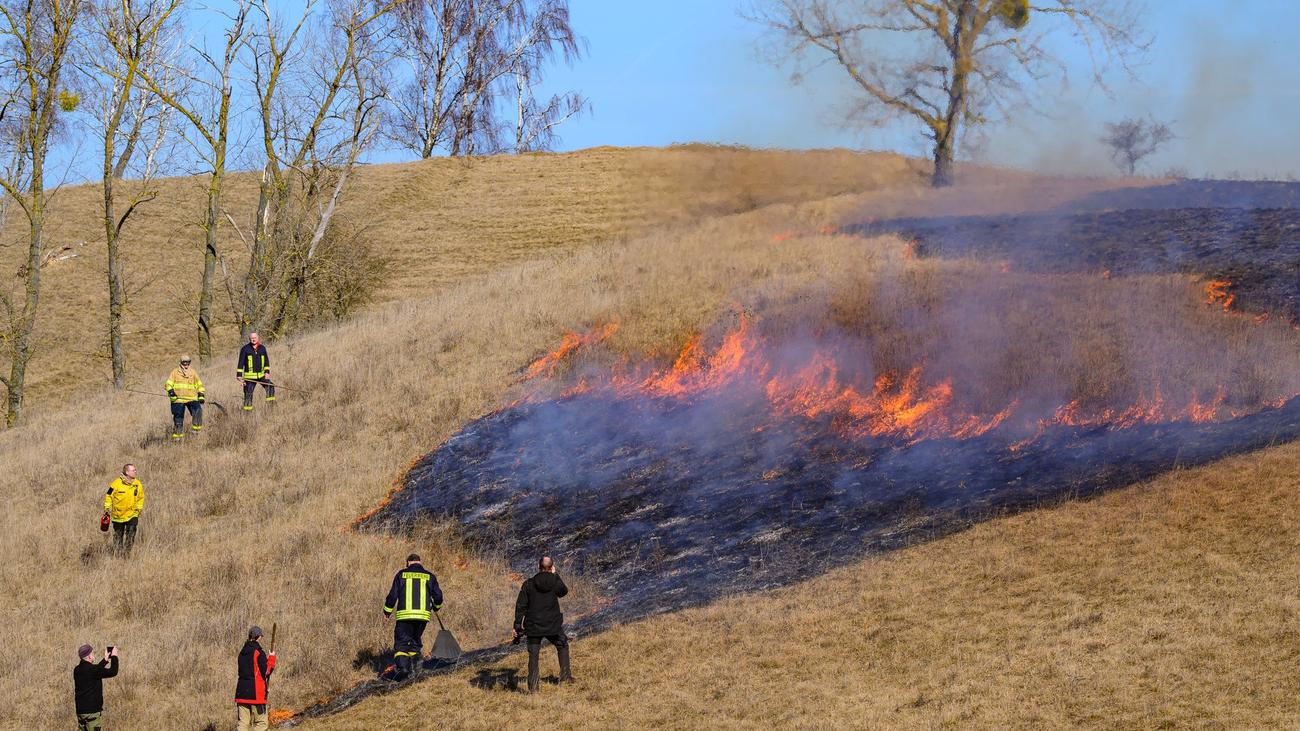 Naturschutz: Feuer und Flamme für Naturschutz: Trockenrasen abgebrannt