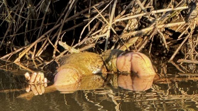 Buntes: Glücklicherweise stellte sich der Fund schnelle als Spielzeugpuppe und nicht als Kinderleiche heraus.