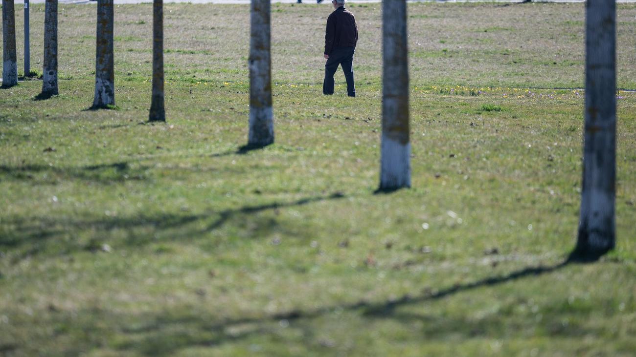 Wetterbericht: Wann und wo Nebel die Frühlingsgefühle trüben könnte