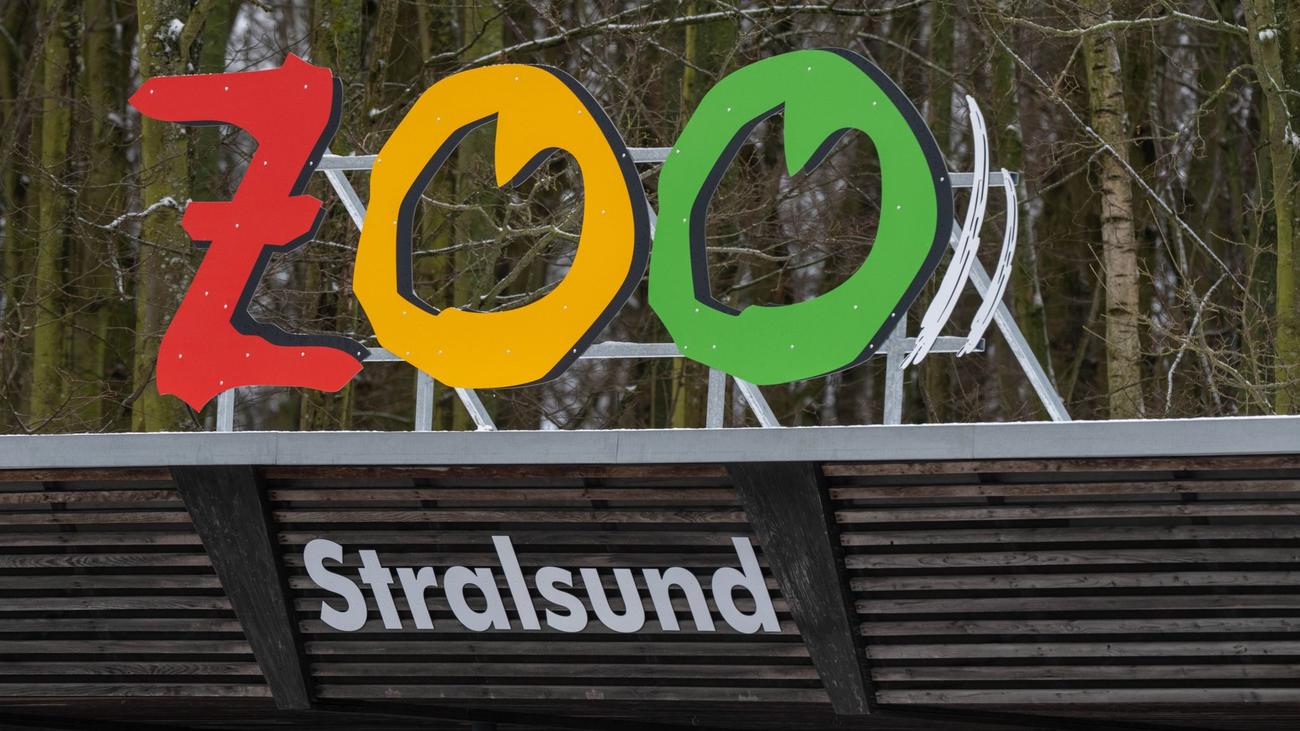 Tierseuche: Zoo Stralsund schließt wegen Vogelgrippe