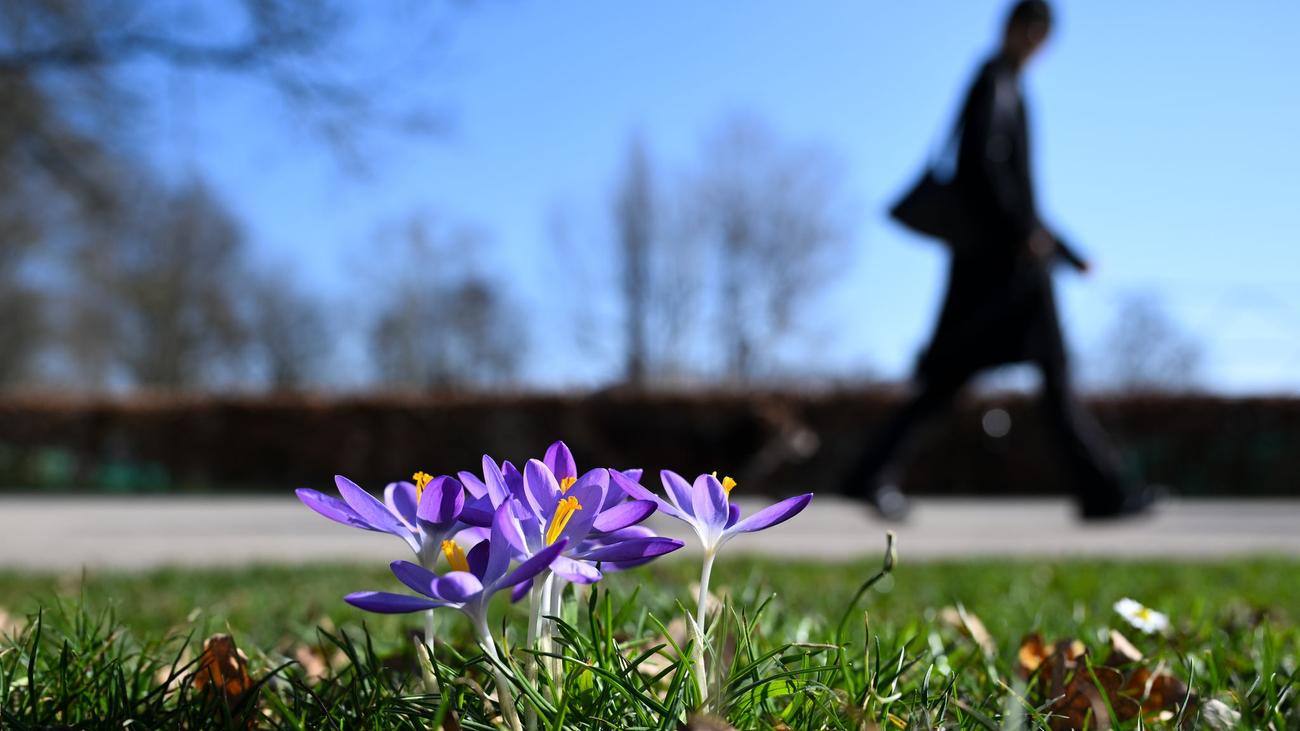 Wettervorhersage: Es bleibt sehr mild - am Wochenende 20 Grad möglich