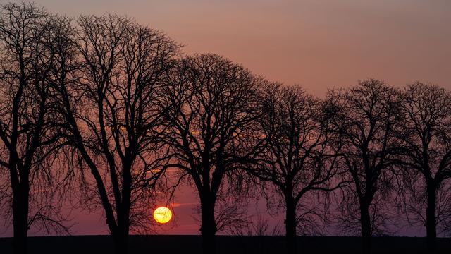 Wetter: Frostige Nächte, milde Tage in Berlin und Brandenburg