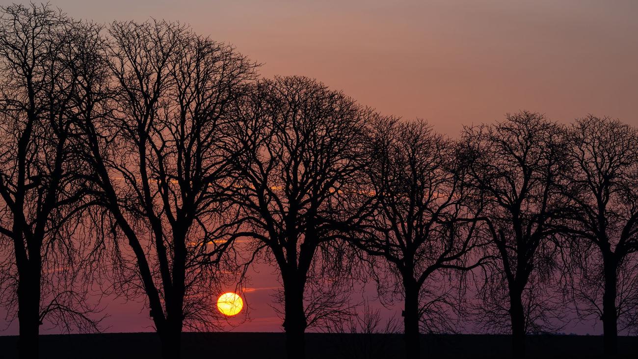 Wetter: Frostige Nächte, milde Tage in Berlin und Brandenburg