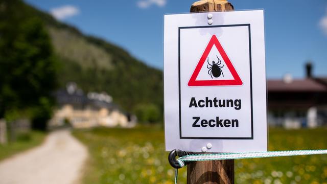 Gesundheit: Zecken überall unterwegs - hier gibt es einen ersten Fall