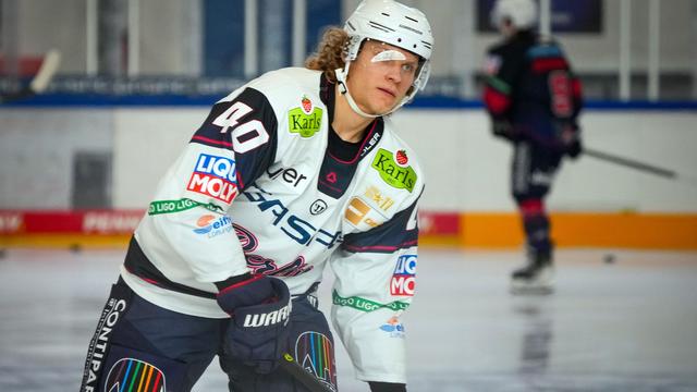 Deutsche Eishockey Liga: Eisbären weiter im Verletzungspech: Saisonaus für Geibel