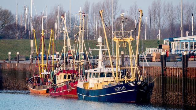 Fangmenge fast verdoppelt: Küstenfischer atmen auf – 