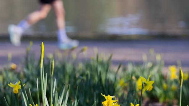 Wetter in Nordrhein-Westfalen: Sonne am Wochenende - Temperaturen bis 21 Grad