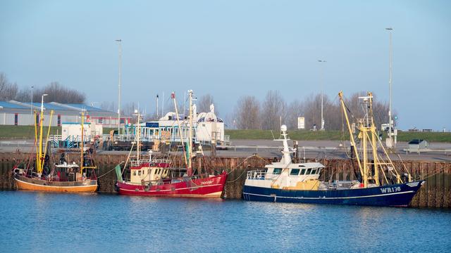 Wetter: Sonnenreiches Wochenende steht bevor