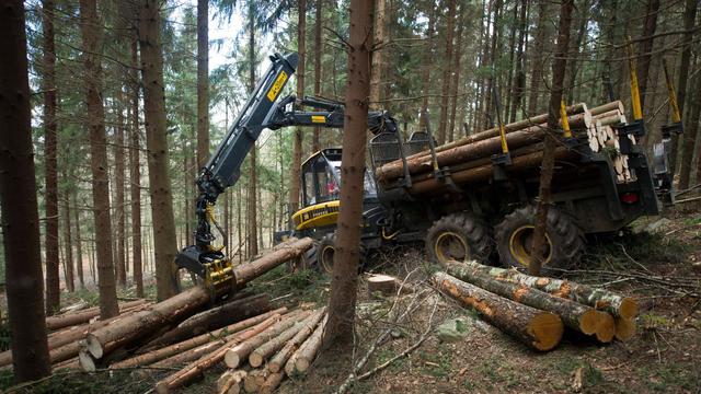 Kriminalität: Technik für 120.000 Euro aus Forstmaschinen gestohlen