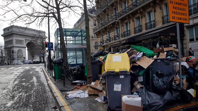 Rattenplage: Wahlkampf in Paris - Millionen Ratten sorgen für Streit