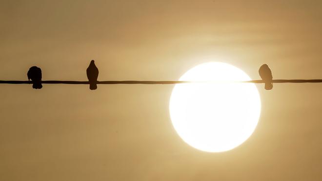 Wetter: Bodennahe Winde haben den Staub in Afrika aufgewirbelt, dann wird der nach Europa transportiert.