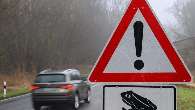 Naturschutz: Kröten sind auf Tour - wie man helfen kann