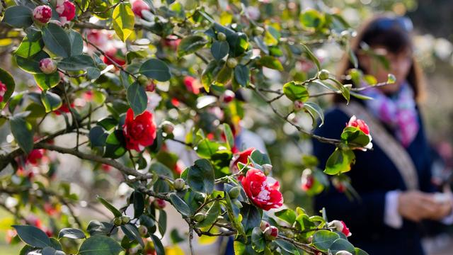 Wetter: Neue Woche startet mit Sonne, Nebel und Schauern