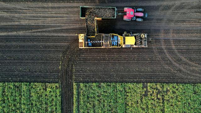 Landwirtschaft: Wasserknappheit auf Äckern - Bauern fürchten Ertragseinbußen