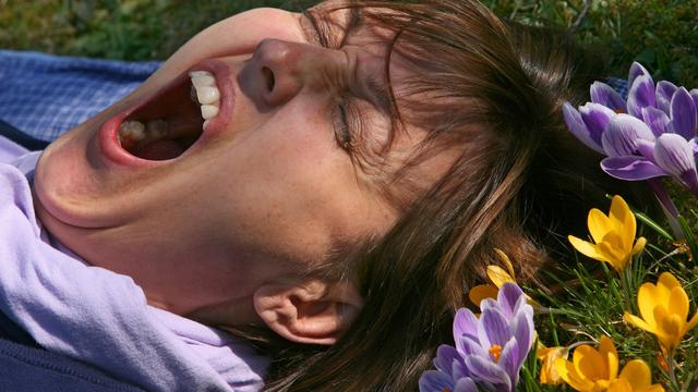 Rätselhaftes Phänomen: Gähn - oder doch nicht? Ist Frühjahrsmüdigkeit ein Mythos?