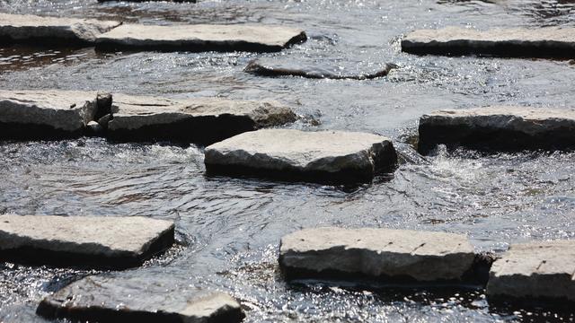 Zehn Millionen Euro: Sachsen-Anhalt fördert Projekte gegen Wassermangel
