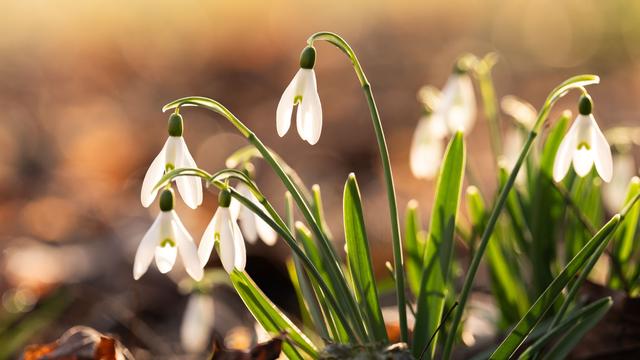 DWD-Vorhersage: Sonne und Regen zum Wochenstart