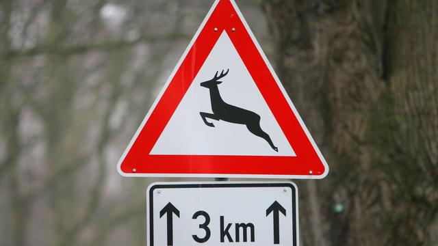 Unfälle: Autofahrer kracht ungebremst gegen Baum – schwer verletzt