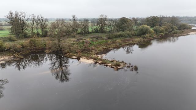 Natur: Künstliche Intelligenz hilft beim Artenschutz an der Elbe
