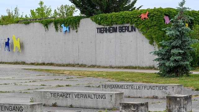 Vogelgrippe: Sicherheit in Tierheim wegen totem Wildvogel verstärkt