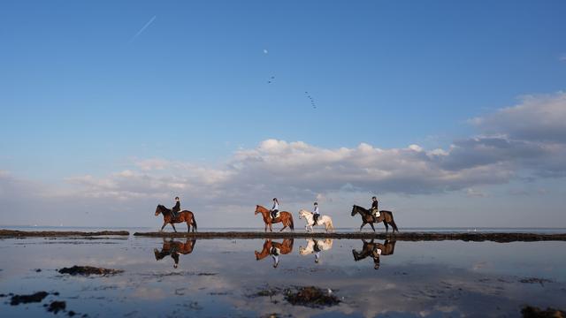 Meerestemperaturen: Winter 2025/26 - Extreme Temperaturen in Nord- und Ostsee