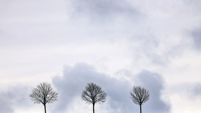 Wetter: Wo im Südwesten ein Regenschirm eingepackt werden sollte
