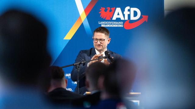 Vorstandswahl: AfD Brandenburg wählt Landesspitze: Springer tritt wieder an