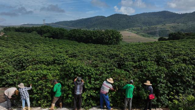 Unwetter: Starkregen bedroht Kaffee aus Brasilien und macht ihn teurer
