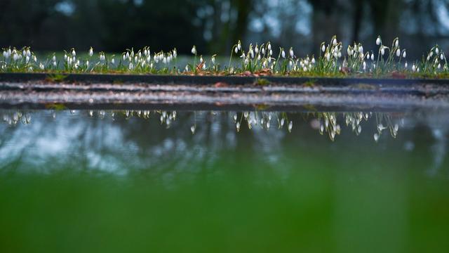 Bodenfeuchte: Trotz Schneemengen sind Niedersachsens Böden weiter durstig