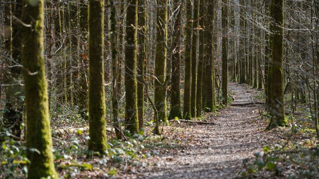 Auszeichnung im Saarland: