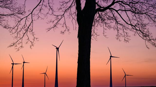 Wetter: Wetter in Berlin und Brandenburg weiter mild - teils Regen