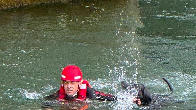 München: Hund stürzt bei Taubenjagd sechs Meter in die Isar