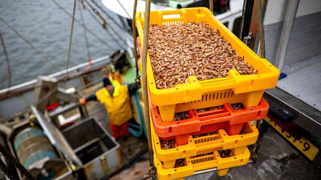 Fischerei: Was die neue Fischerei-Anlaufstelle des Bundes bewirken soll