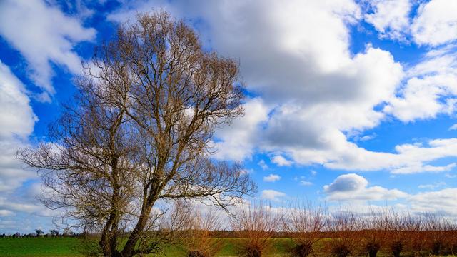 Wetter: Wochenendstart: Bedeckter Himmel über Berlin und Brandenburg