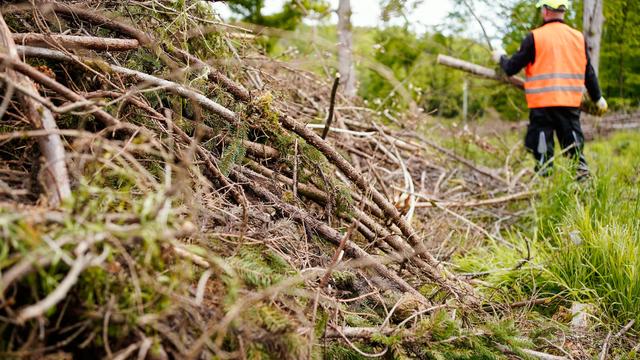 Justiz: 353 Verurteilte vermeiden Haft durch gemeinnützige Arbeit