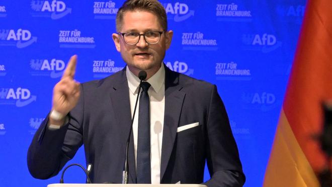 Vorstandswahl: AfD Brandenburg will an die Macht - Springer wiedergewählt |  DIE ZEIT