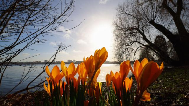 Wetter-Vorhersage: Der Frühling kommt zurück – mit Sonne und fast 20 Grad