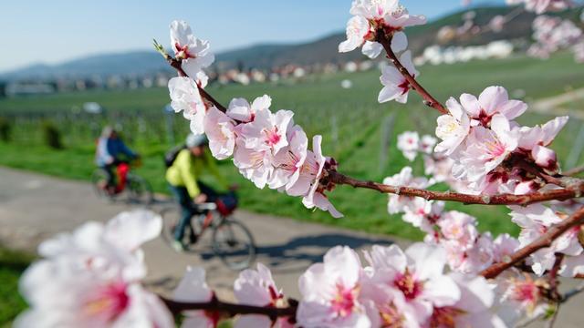 Wetter: Sonne zur Wochenmitte in Rheinland-Pfalz und Saarland
