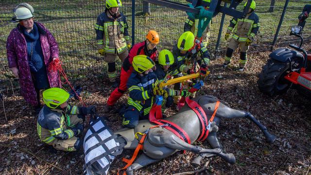 Feuerwehrübung: Einsatzkräfte üben Großtierrettung mit Dummypferd