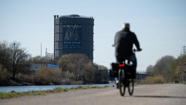 Neue Ausstellung im Gasometer: Gasometer zeigt 35 Meter hohen Baum aus Licht