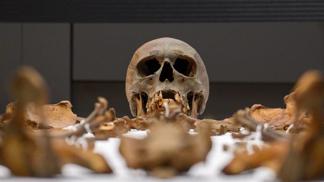 Archäologie: Archäologen erforschen Otto den Großen bis ins Detail