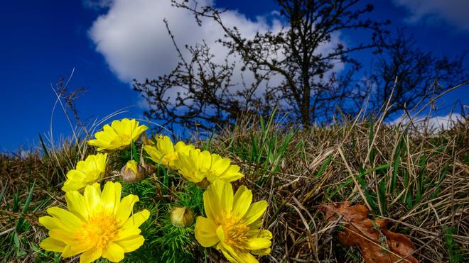 Wetter: In Berlin und Brandenburg sorgt ein Hochdruckeinfluss für mildere Nächte. (Symbolbild)